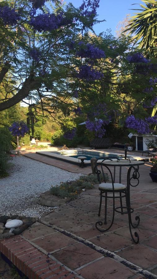 Finca El Rio, The Studio Self Catering With Pool And Hydrotherapy Jacuzzi Set In Beautiful Gardens, Guaro Exterior photo