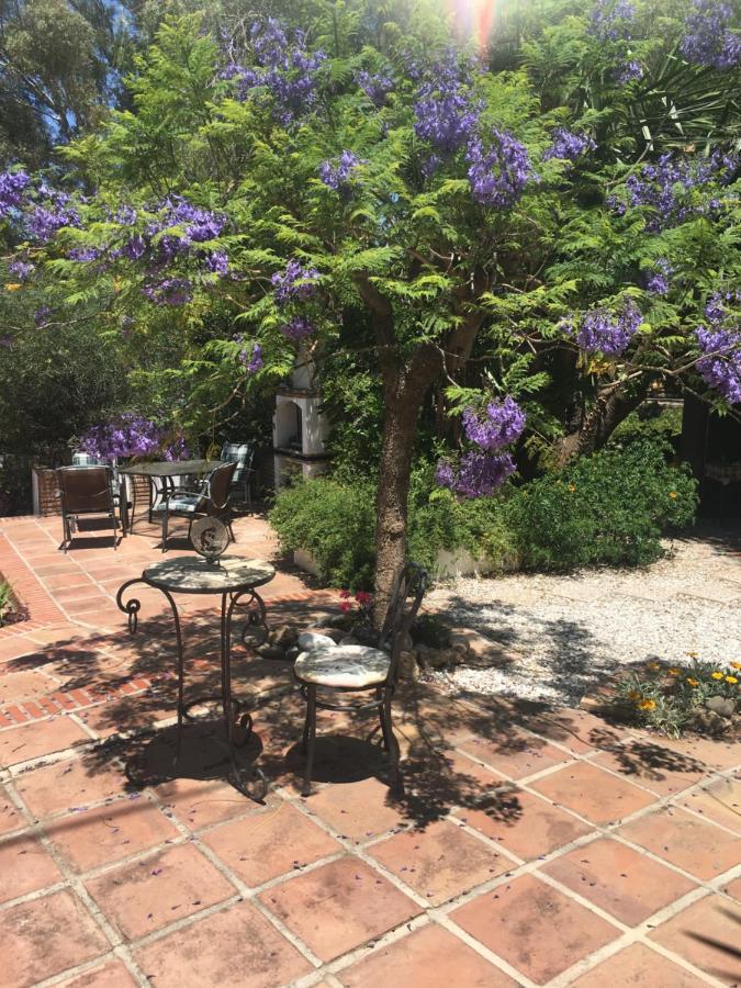 Finca El Rio, The Studio Self Catering With Pool And Hydrotherapy Jacuzzi Set In Beautiful Gardens, Guaro Exterior photo